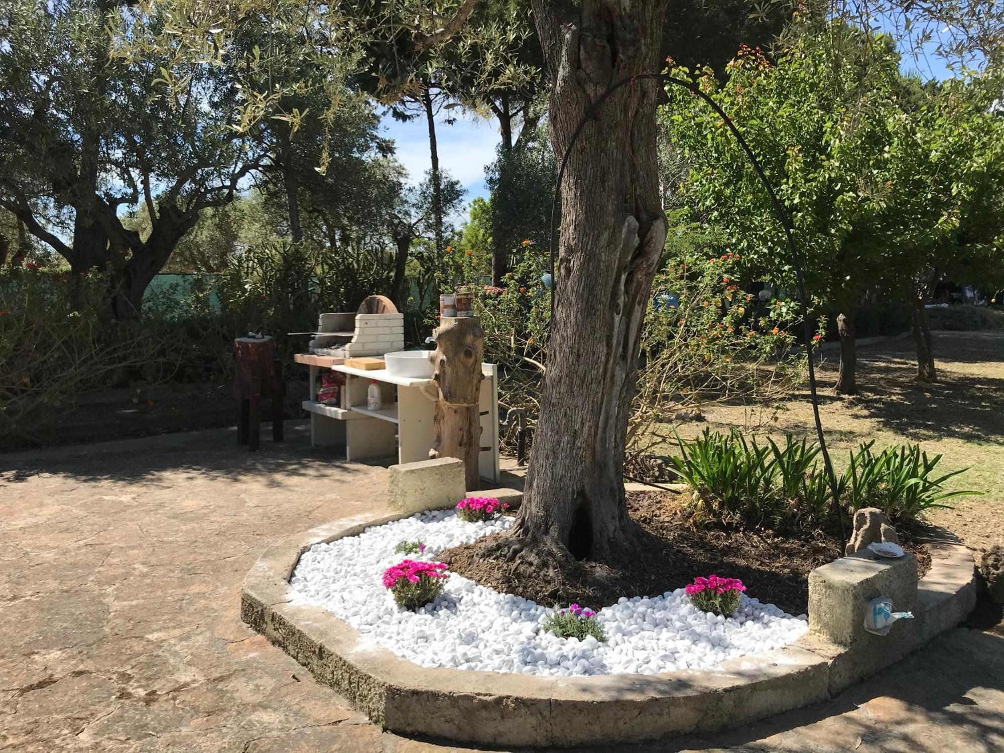 Butterfly House Bed & Breakfast 알게로 외부 사진