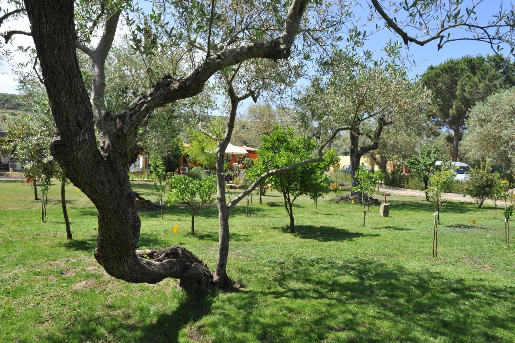 Butterfly House Bed & Breakfast 알게로 외부 사진