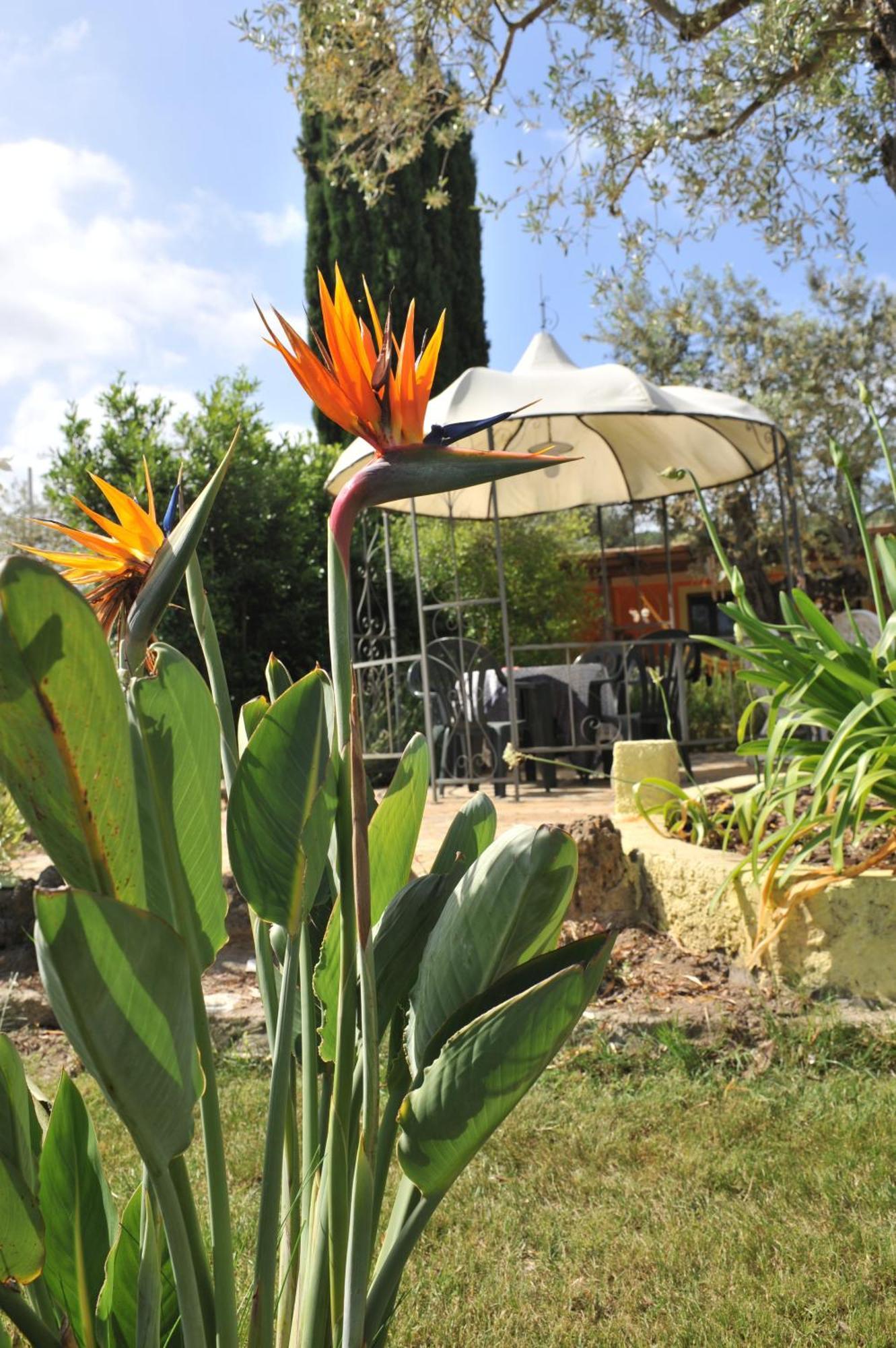 Butterfly House Bed & Breakfast 알게로 외부 사진